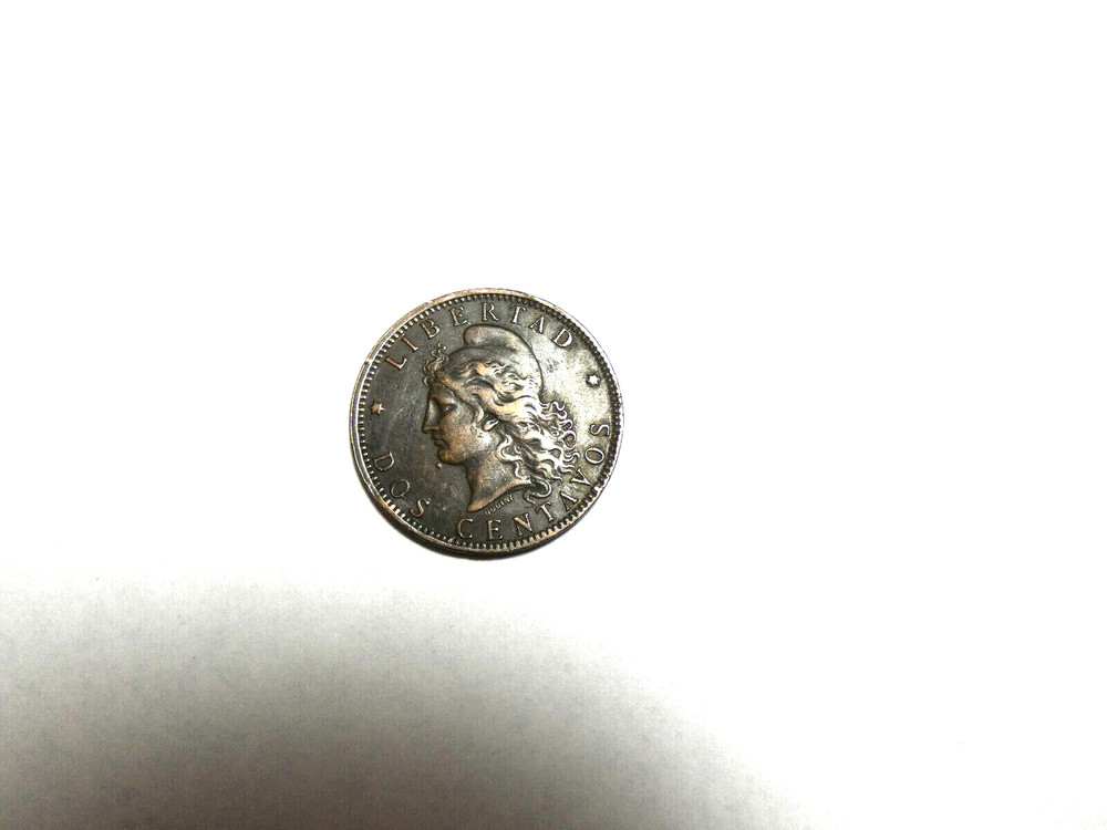 Argentina 1893 Dos Centavos.