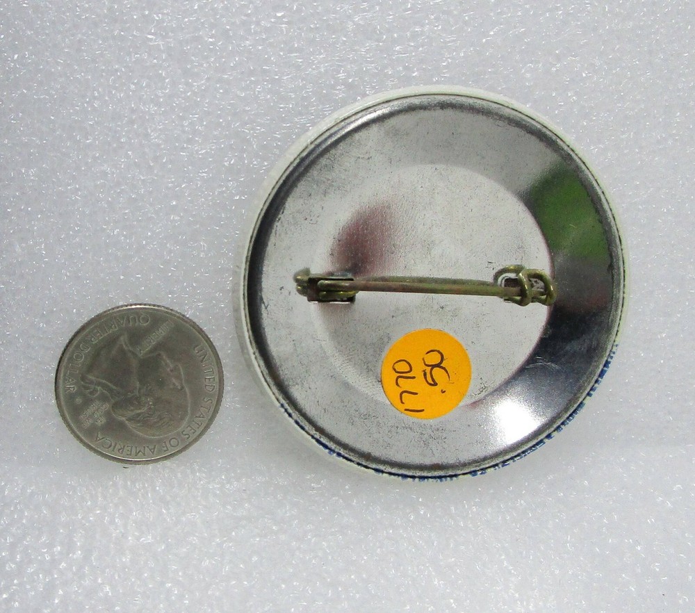 Save The Sanctuary Button Pin