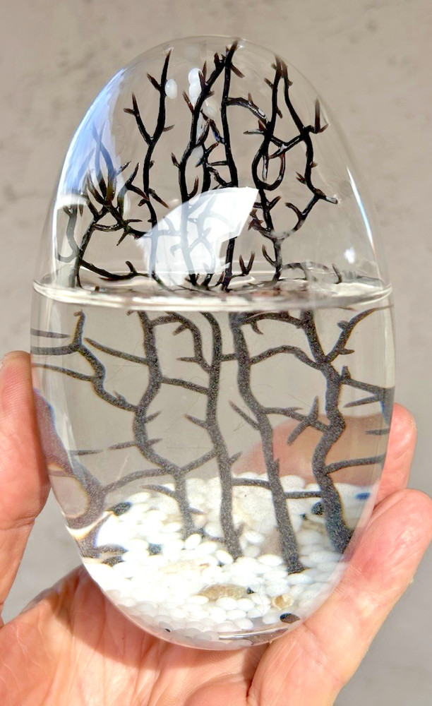 5" GLASS EGG-SHAPED CLOSED SYSTEM ECOSYSTEM shrimp ECOSPHERE self-sustaining