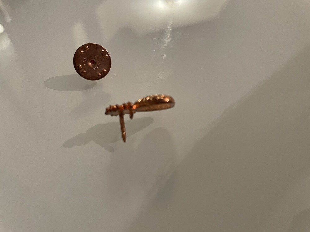 Pineapple Pin In Copper - Absolute Elyx