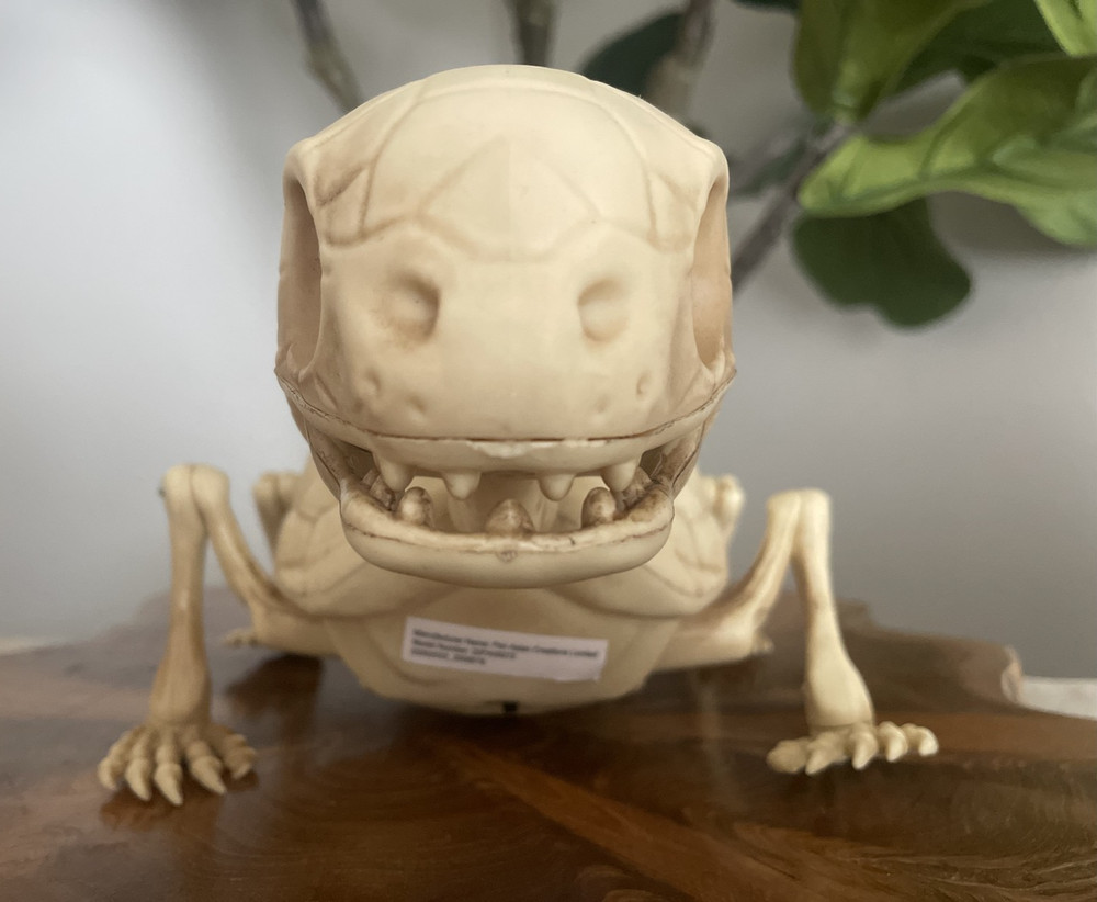 Pac Halloween Animated Turtle Skeleton Eyes light up & Crawling