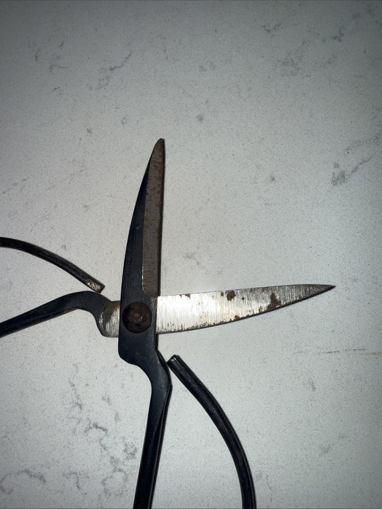 Vintage Bonsai Pruning Scissors Shears