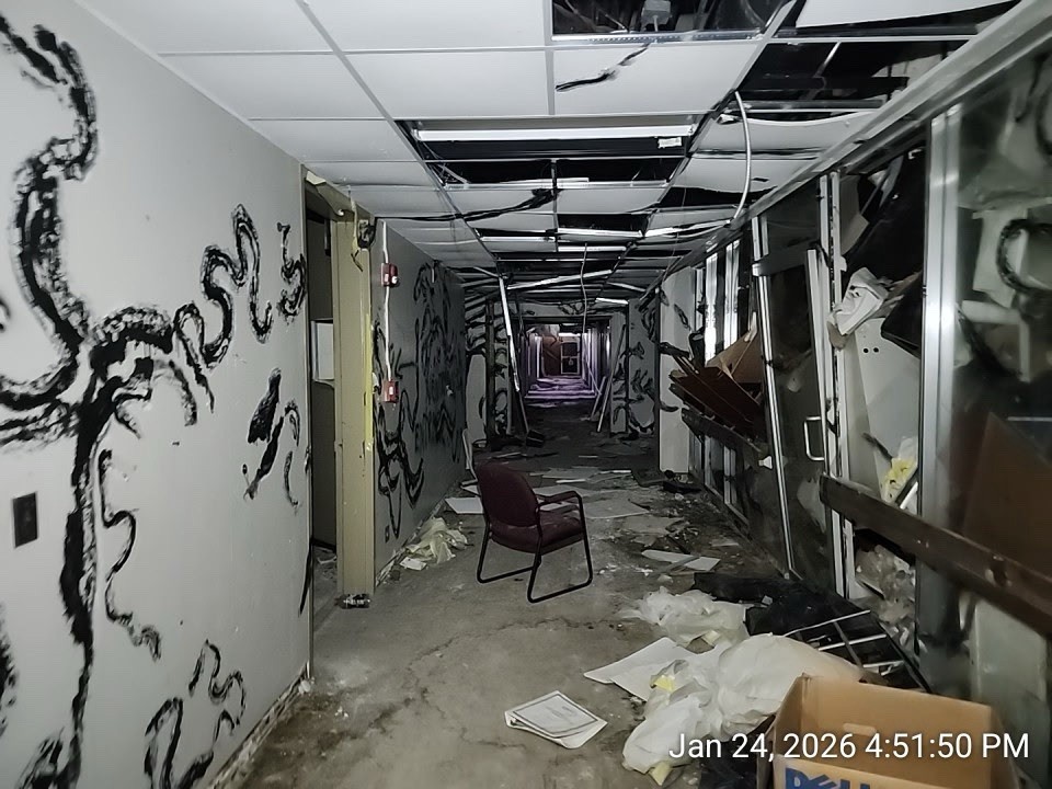 Stranger Things Prop On Set Full Ceiling tile Vine And Wall Hawkins Lab