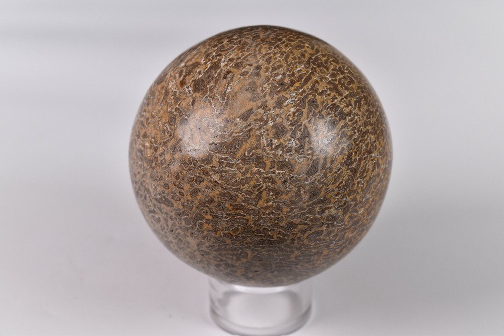 Dinosaur Bone Sphere from Morocco 7.2 cm # 20119
