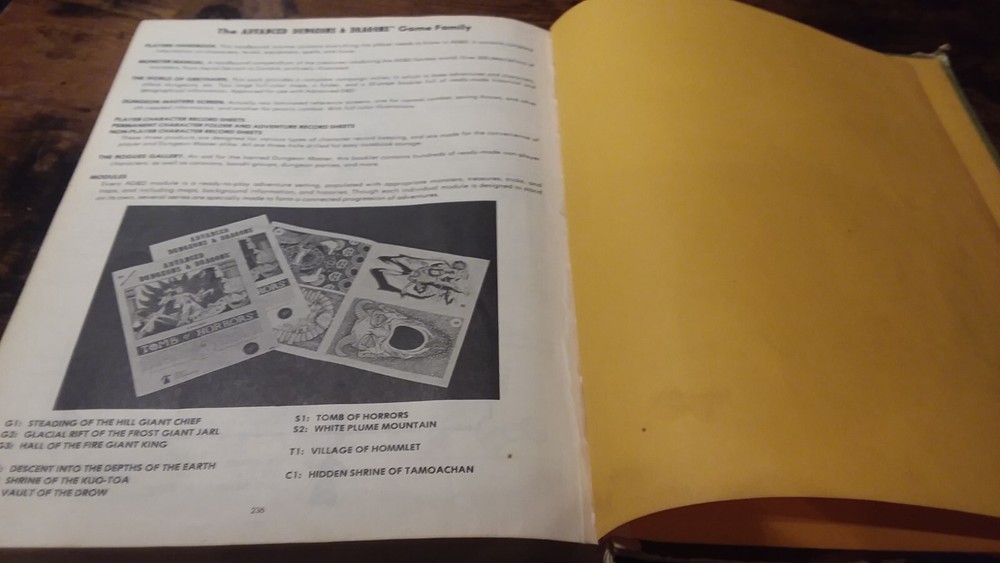 Advanced Dungeons & Dragons Dungeon Masters Guide 6th Alpha AD&D Vintage OOP