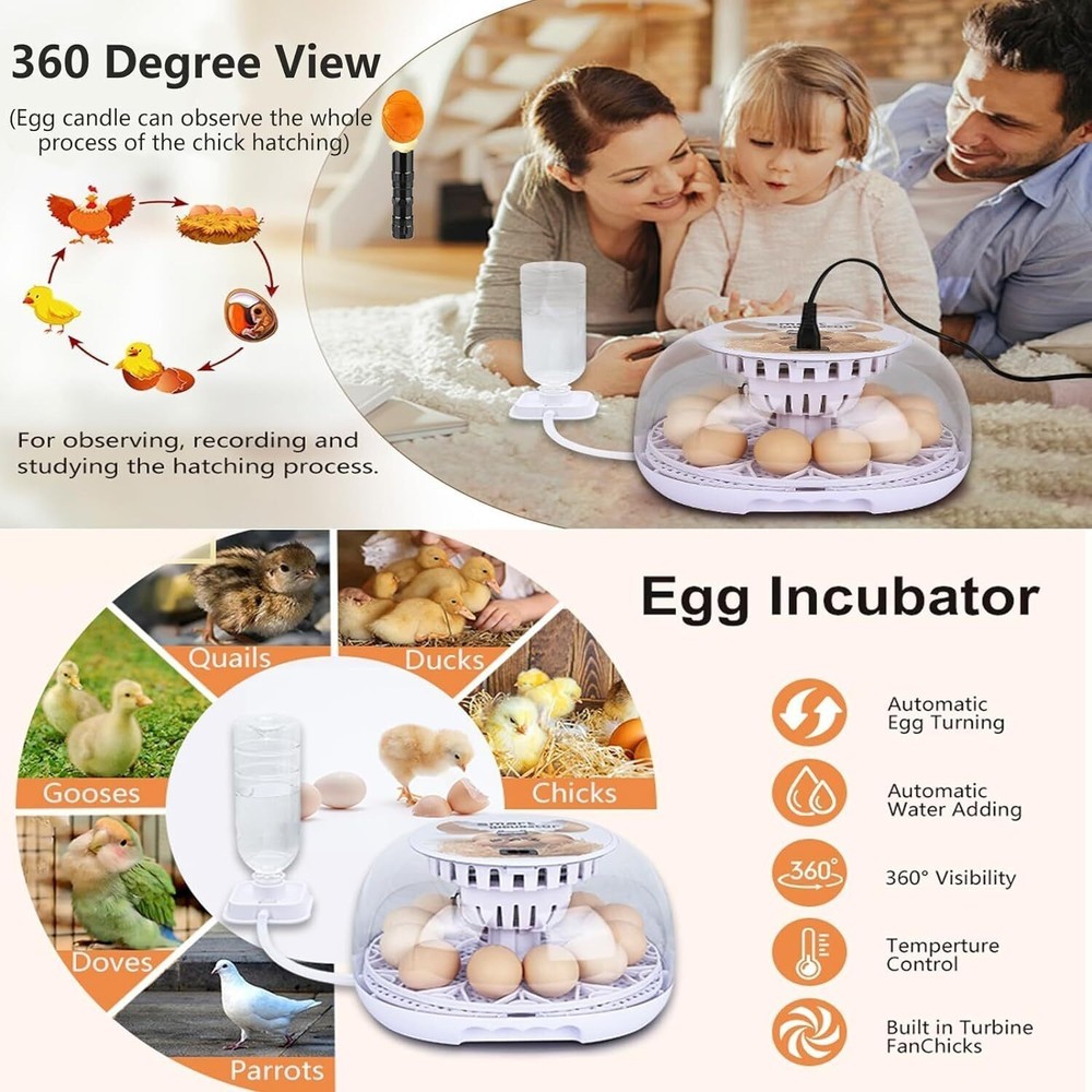 Incubators Hatching Eggs 12-24 Egg W/ Automatic Egg Turning Humidity Control New