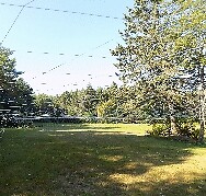 Predator Pee Hawk Stopper Mini