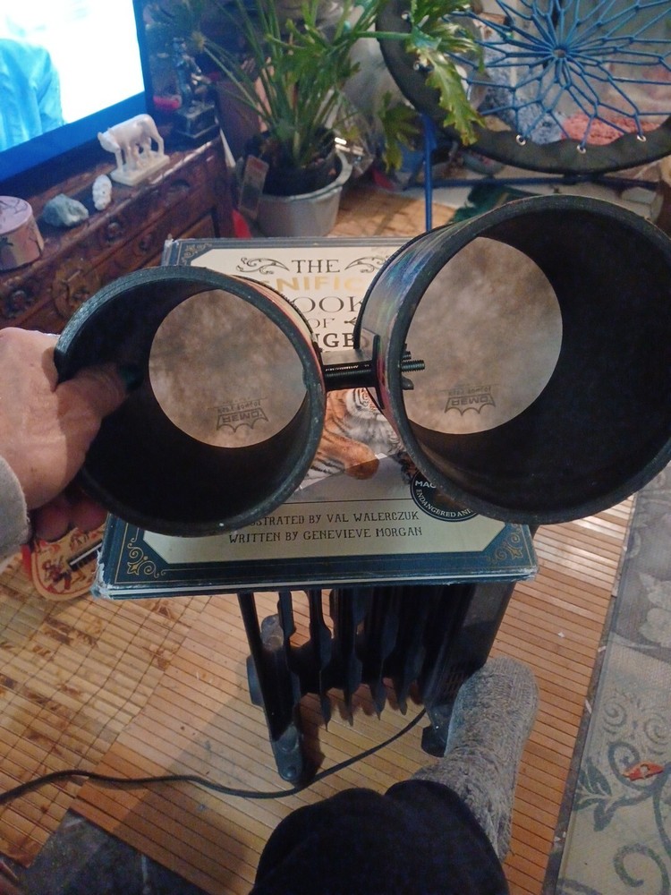 Remo Kid's Percussion Rain Forest Bongos