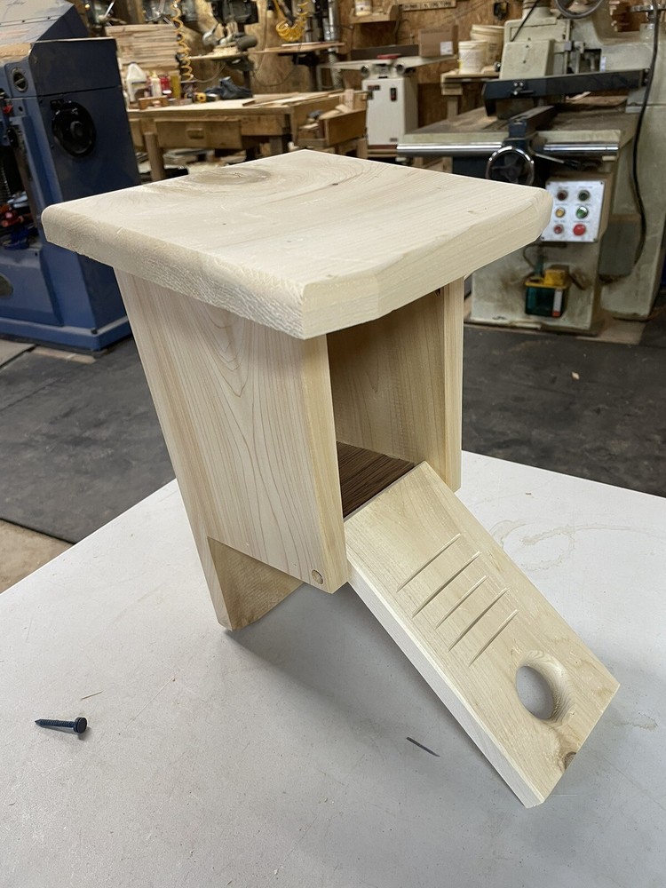 House Wren nesting box