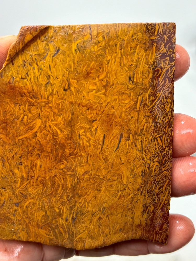 Script Stone Jasper Slab Cabbing Lapidary Collecting Combo Ship Avail