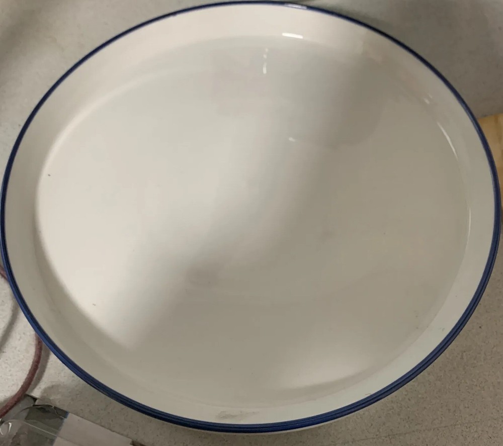 Mainstays 4-Piece Blue Rim Stoneware Dinner Ware plates.