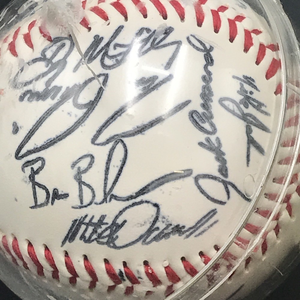 Incredible Multi Signatures Baseball Minn Twins