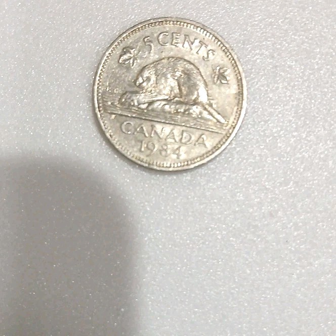 5 cent Canadian coin