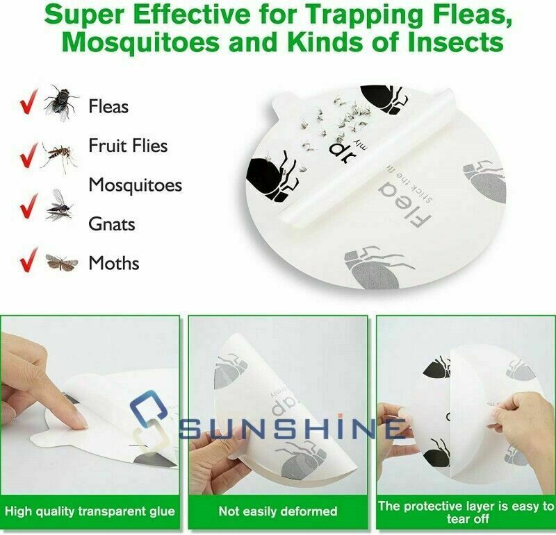 5 Flea Trap Refill Sticky Discs Replacement Glue Bug Fly Insects Catcher Boards