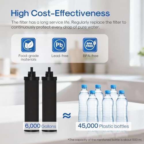 2.25G Gravity-fed Water Filter System, 304 Basic 2 Carbon Filters System