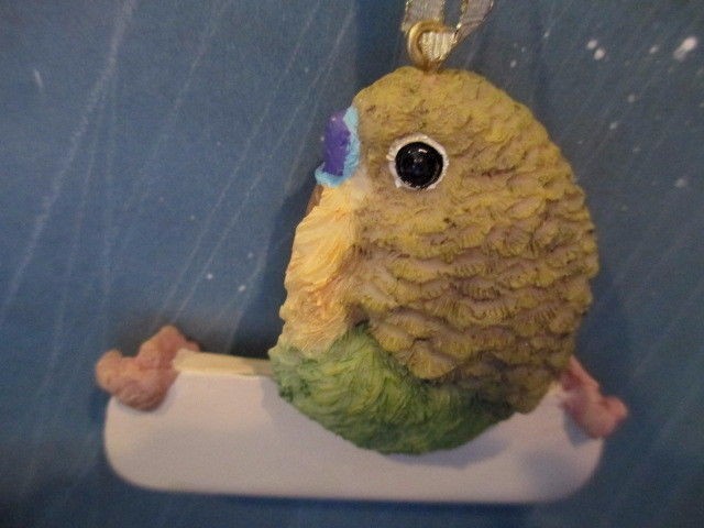 PARAKEET    ~   ORNAMENT  #  2205