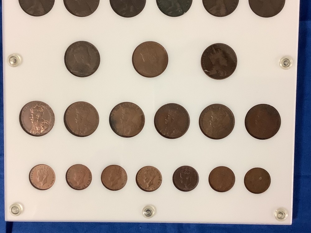 1865-1947 Newfoundland Large Cent Complete Set!