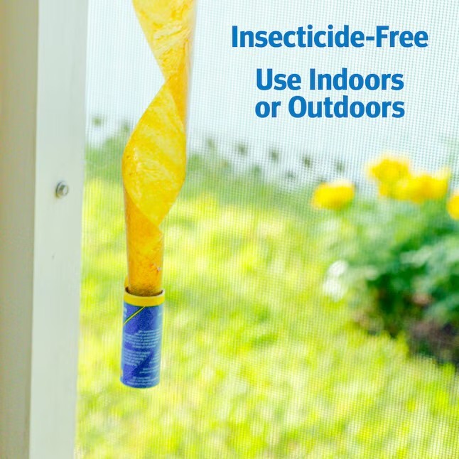 Raid Fly Ribbon Trap, 10 pack