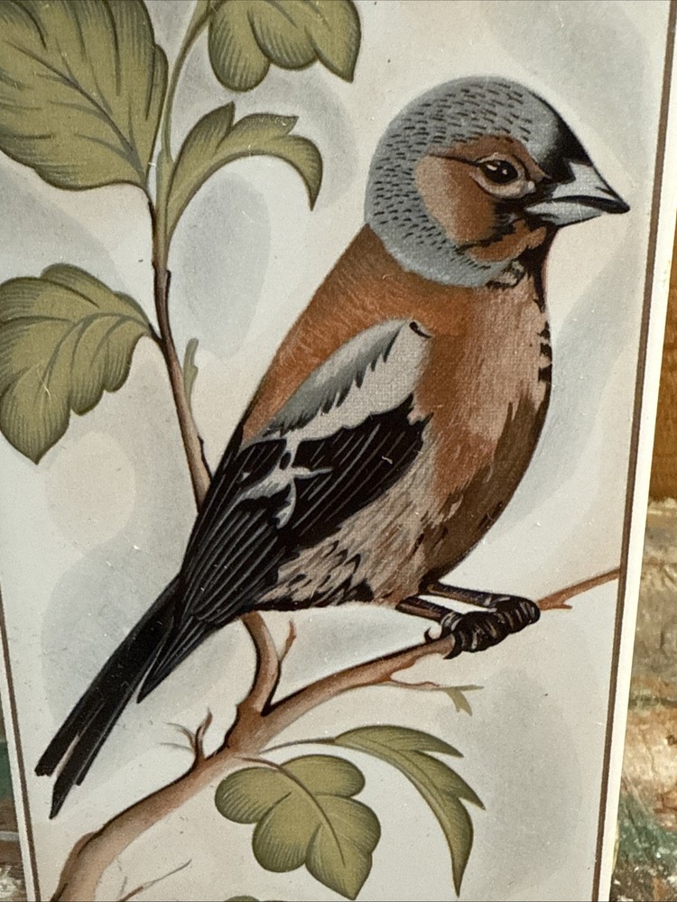 Finch Tile, Hamm 1981, Germany