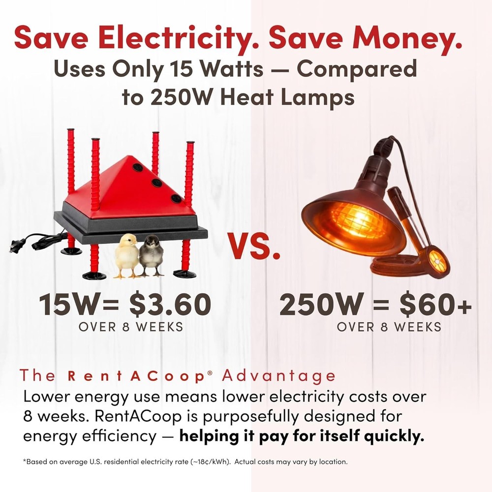 Energy-Saving Chick Brooder Heating Solution