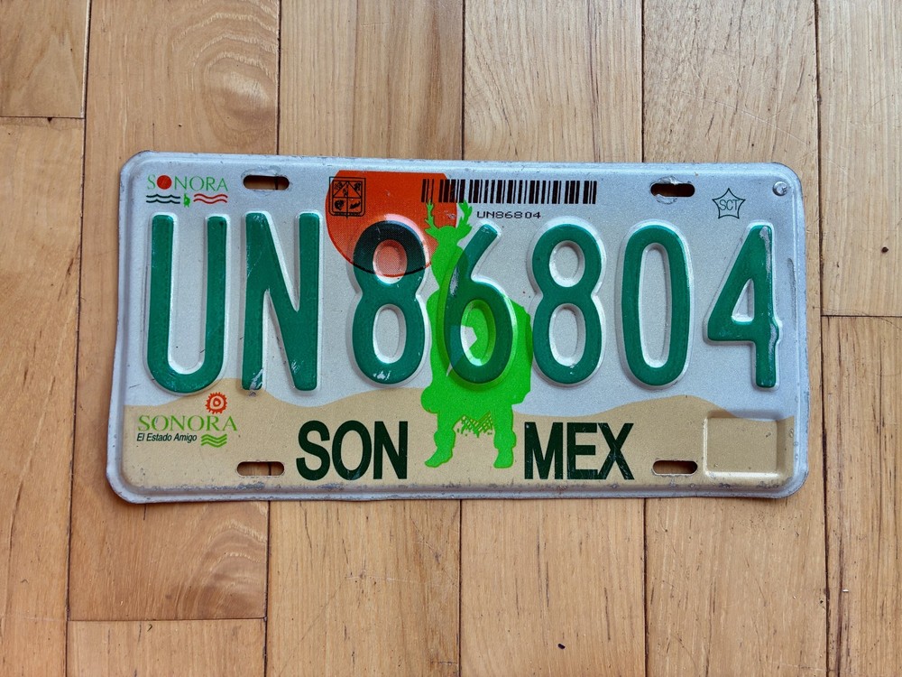 2010 Sonora México License Plate
