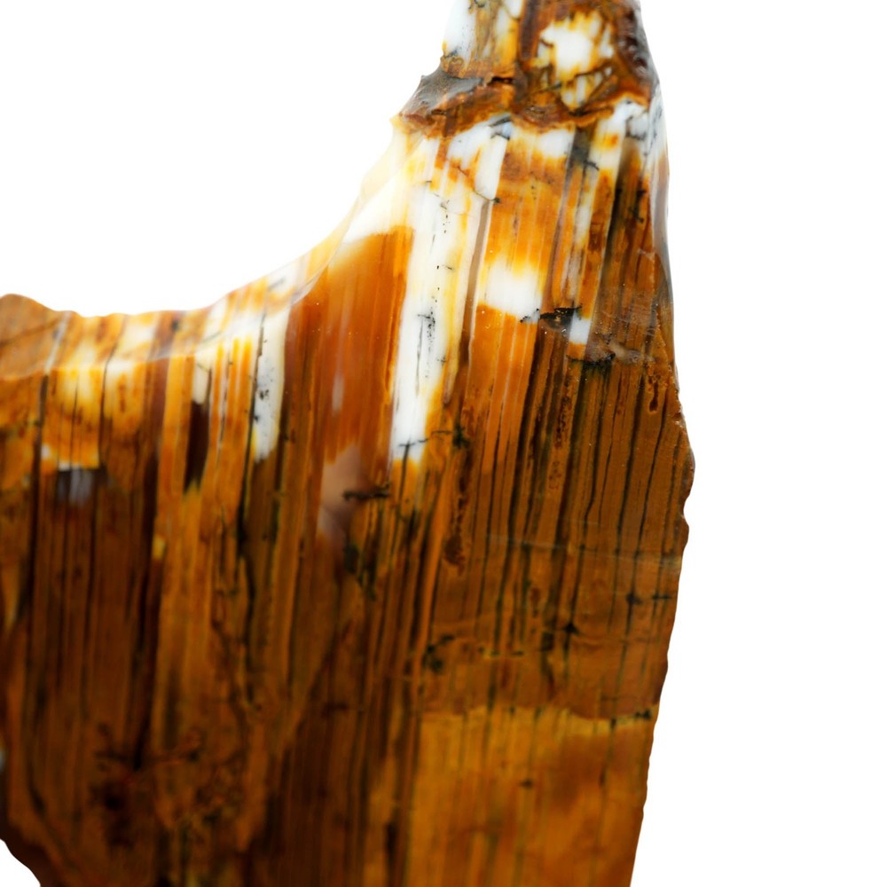 Wascoite Slab - Strata Coffee Pattern