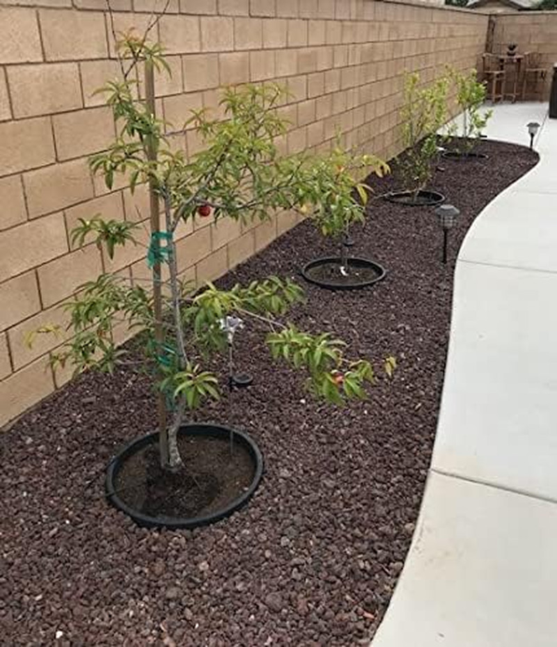 6 Pack 20" Tree & Shrub Watering Rings – Deep Root Irrigation Basin with Solid O