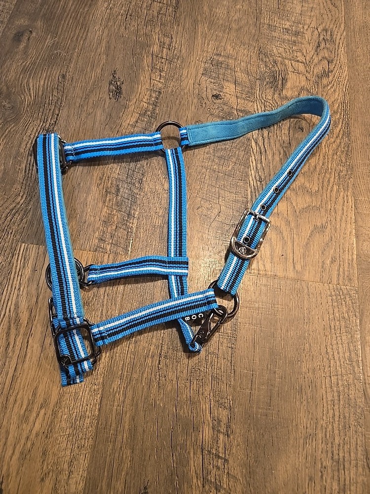 cob halter