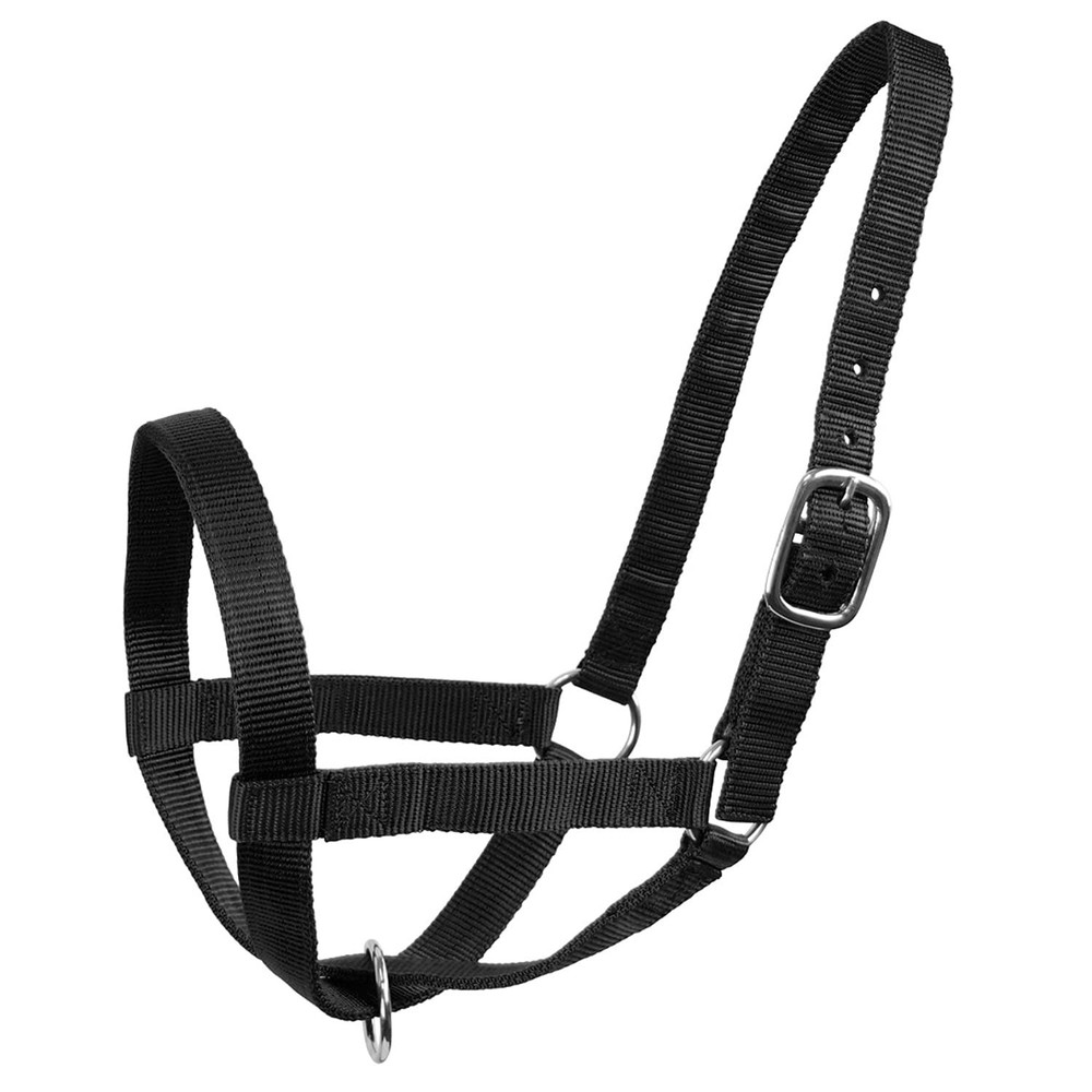 Adjustable Nylon Halter For Cattle Medium 500-800Lbs Durable Classic Design