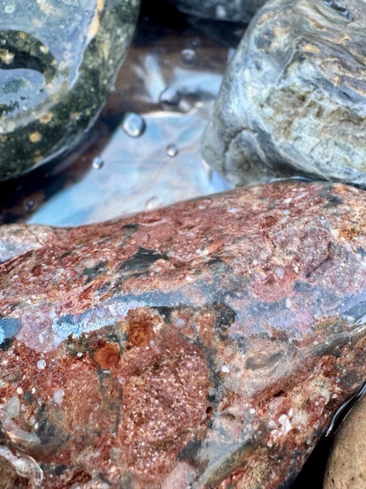 Jaspers Rough Lapidary 5 Lbs