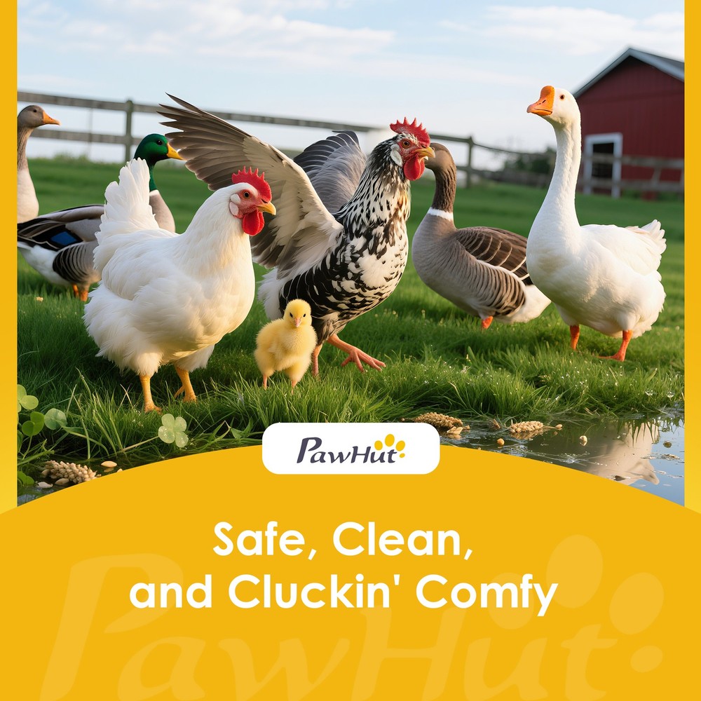 Chicken Nesting Boxes, 6 Compartment Steel Nesting Boxes for Chickens