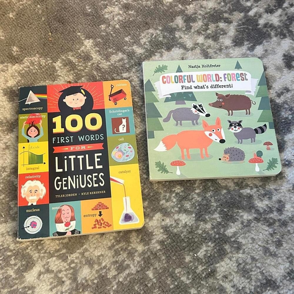 Scholastic Board Books Words and Differences