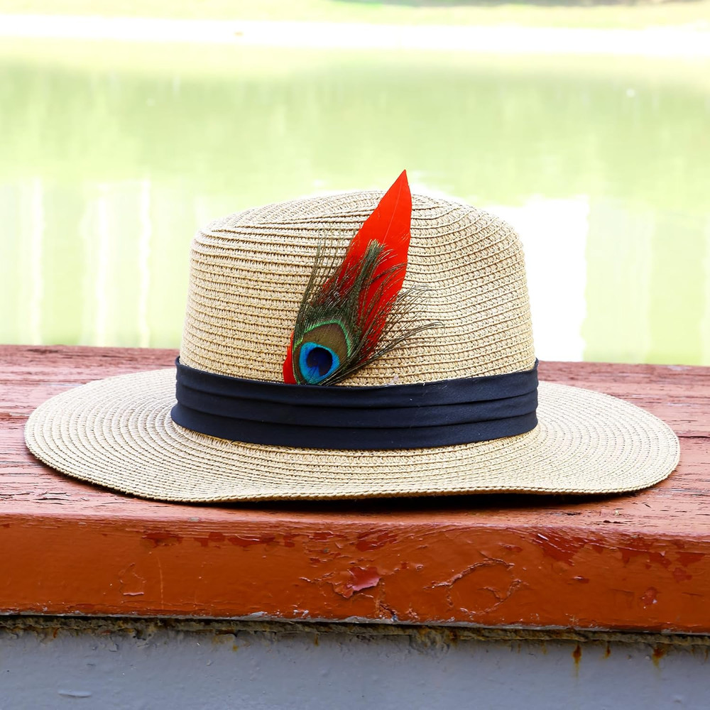 Hat Feathers 20 Styles Natural Assorted Feathers for Fedora Hats Accessories DIY