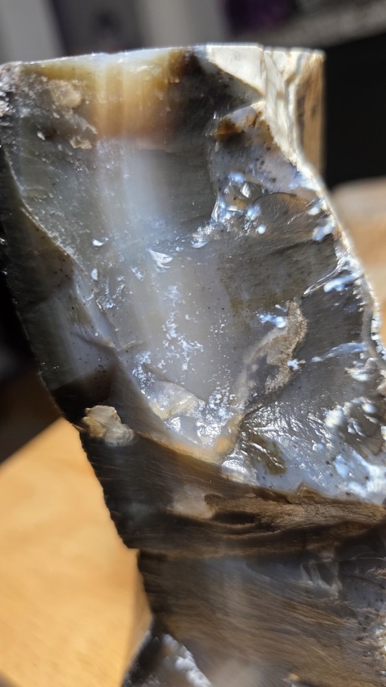 Montana Agate Rough 2lbs. 11oz.