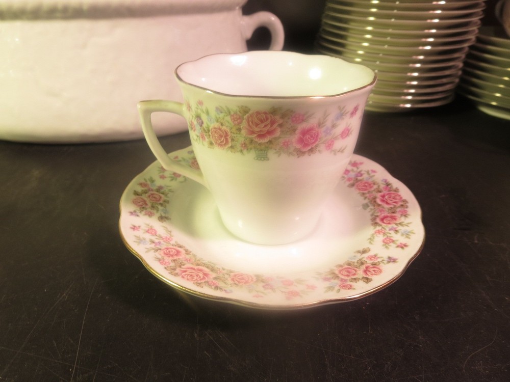 Remington by Red Sea Pattern #RSA1 Cup & Saucer