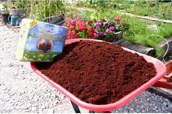 Coconut Coir Brick, 650g, 5 Pack