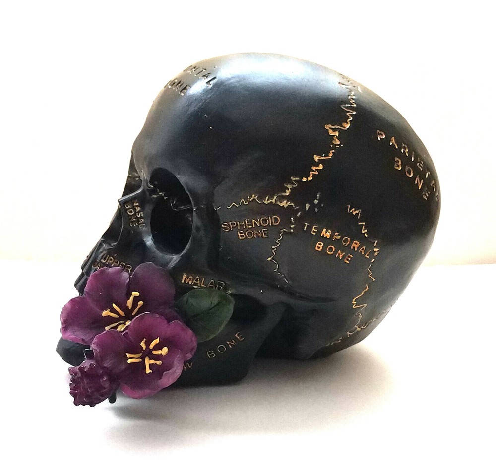Skull with Rose Figurine Statue Skeleton Halloween