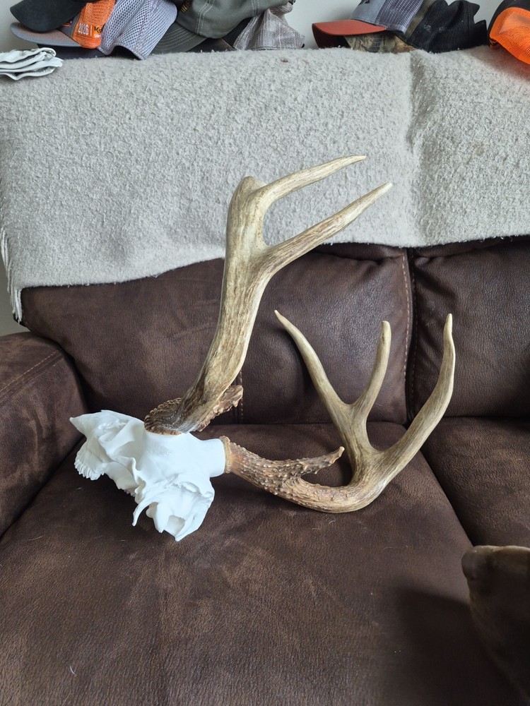 Whitetail Shed/mount Kit