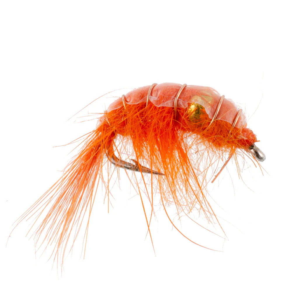 3 Pack Orange Beaded Shrimp Scud Pattern - Size 16
