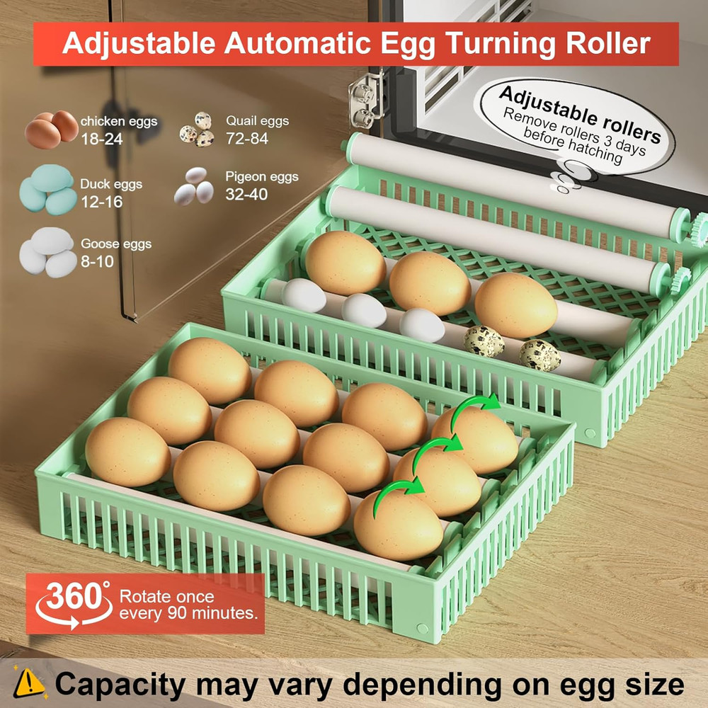 24-Egg Automatic Incubator with Humidifier and Temperature Control