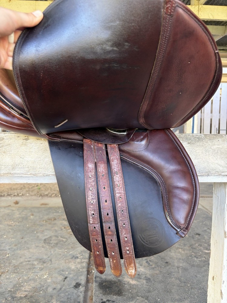 Collegiate Post-Graduate all-purpose saddle, 17”