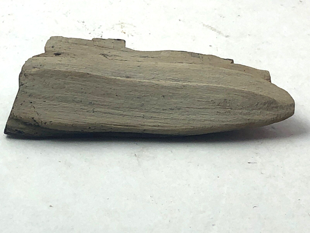 Petrified Wood 2.5 oz.