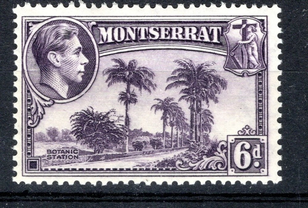 Montserrat 1938 sg 107 6d perf 13, fine LM