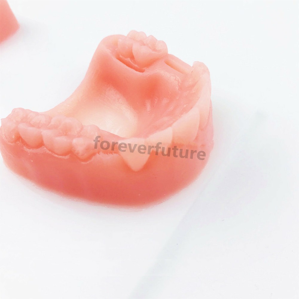 Dental Simulation Suture Model Gum Teaching Training Sutures Dentist Practise