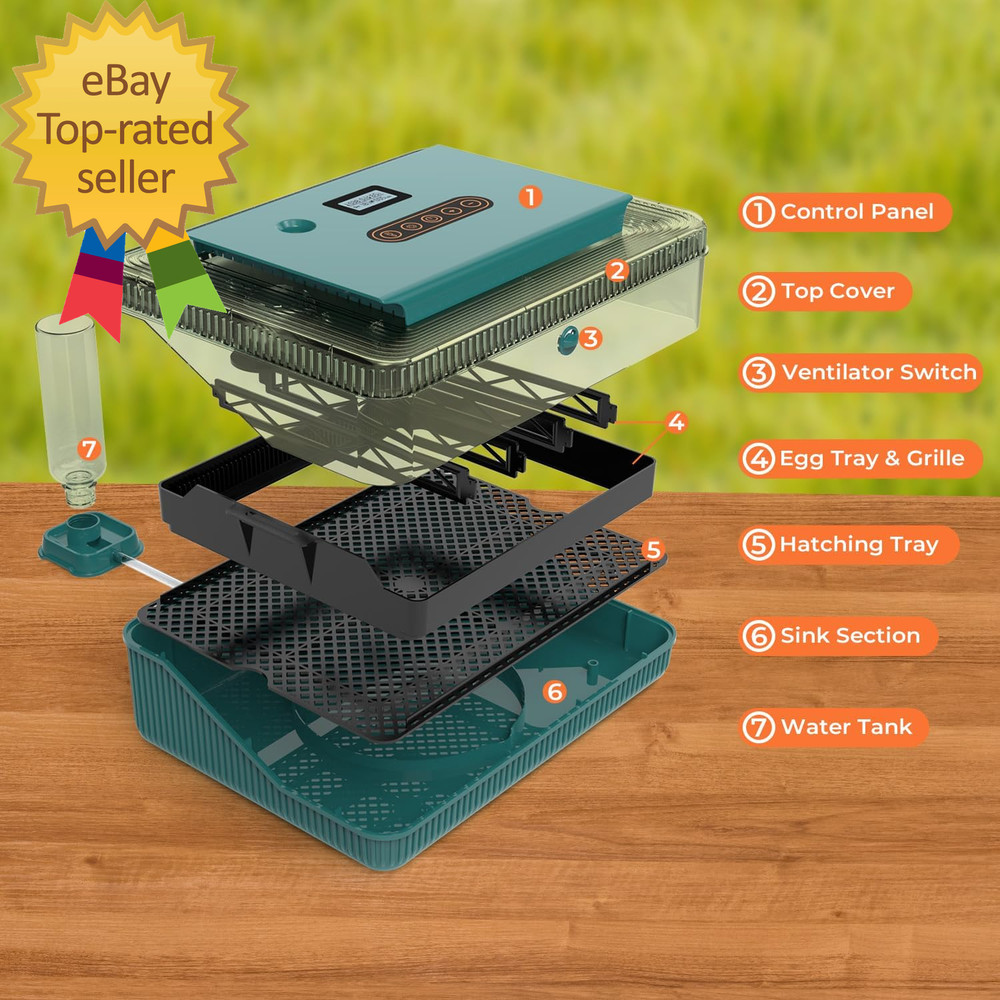 Automatic Egg Incubator for Hatching Eggs Egg Incubator with Automatic Egg Turn