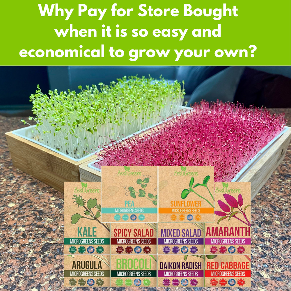 Organic Variety Pack Microgreens Seeds