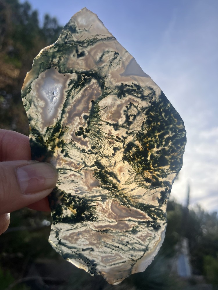 Indian Green Tree Moss Agate Slab