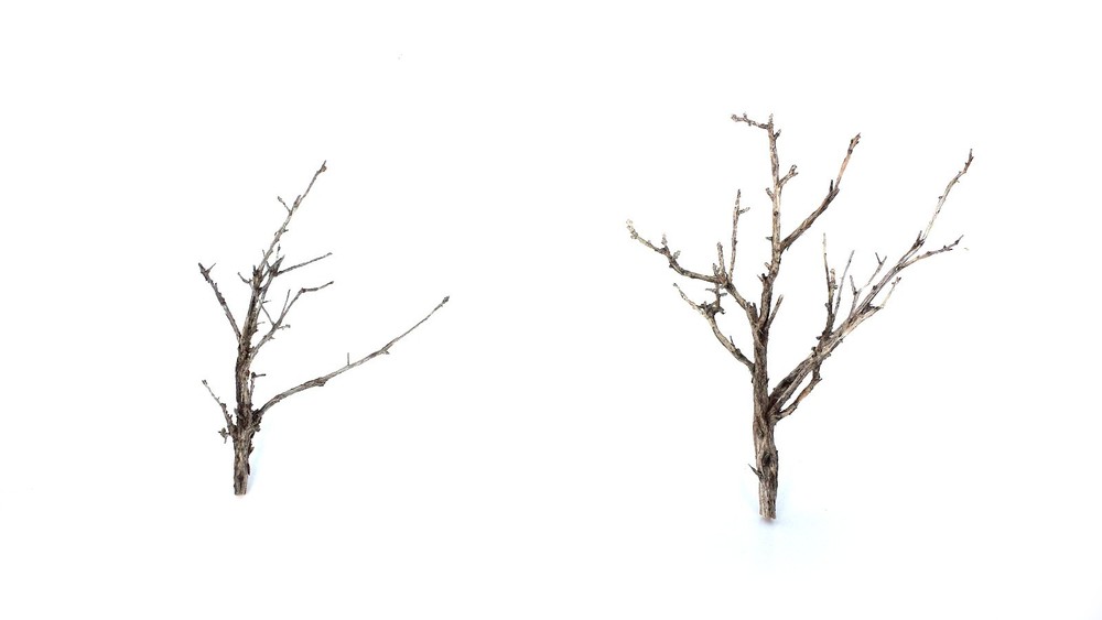 Miniature Trees ~ 20 2" Wargaming, MODEL RAILROAD TREE ARMATURES DEAD FALLS