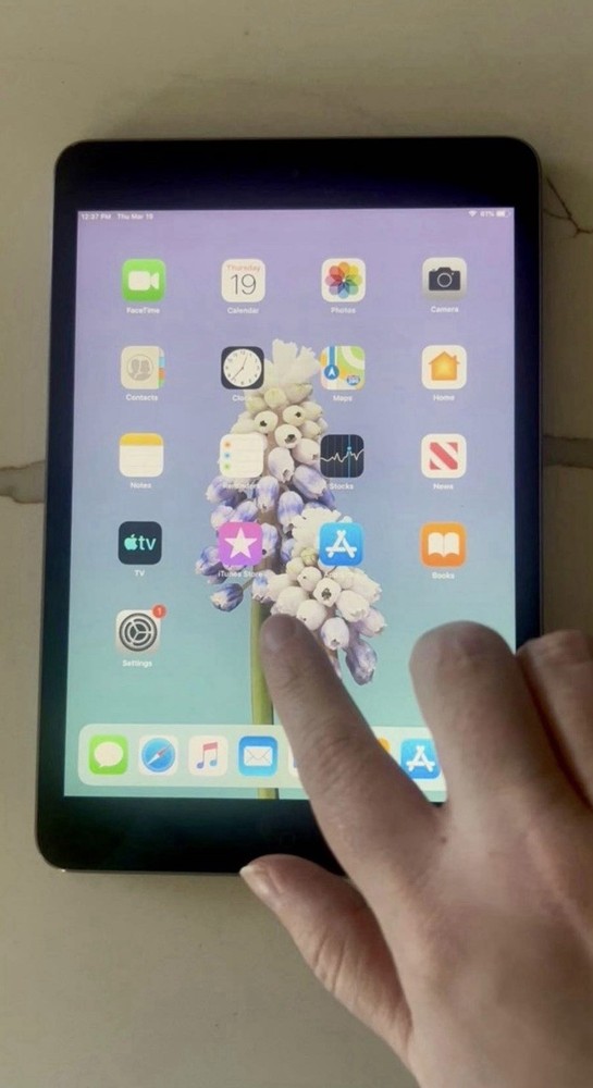 Apple iPad mini 2's 32GB Bundle of TWO