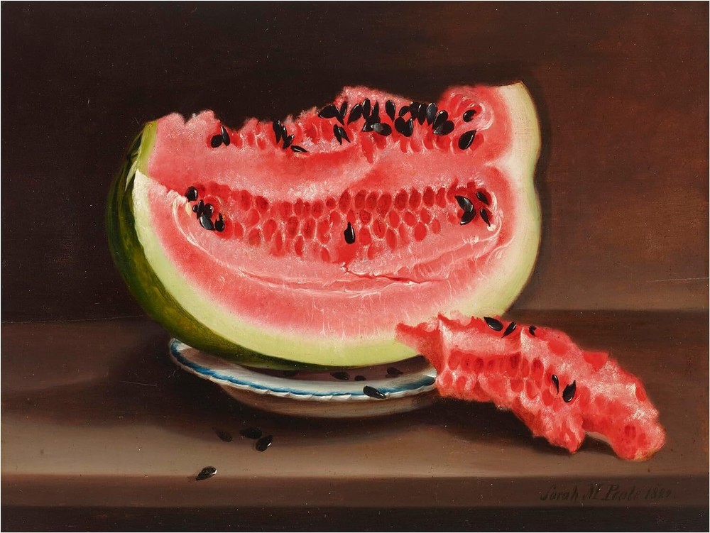 Watermelon Still Life Accent Tile Mural Kitchen Bathroom Wall Backsplash Ceramic